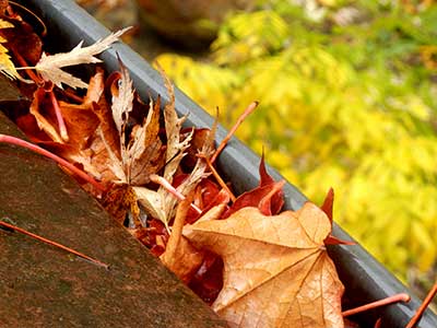 Gutter Cleaning by Affordable Gutter Services serving Portland OR and Vancouver WA