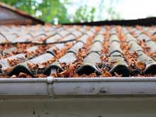 Roof Cleaning by Affordable Gutter Services serving Portland OR and Vancouver WA